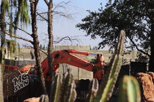 From the Big Thunder side, work is happening real close to the ride.