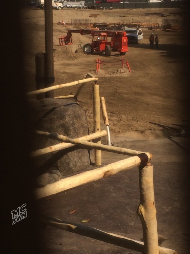 Through a knothole, we see the railings for the stairs that led down to the lower level. 