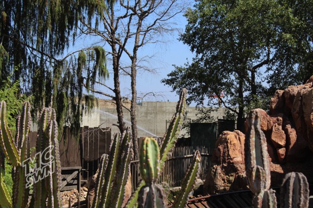 And a look from Big Thunder.