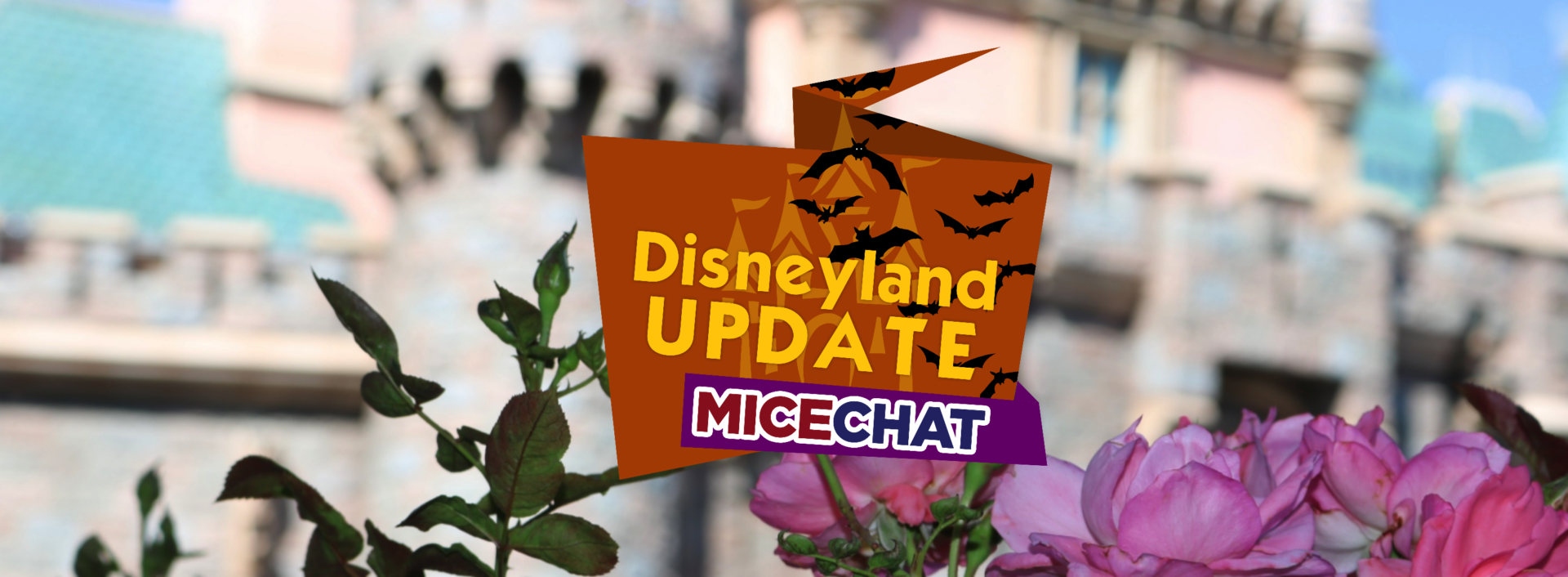 Disneyand Photo Update – It’s A Pumpkin World After All