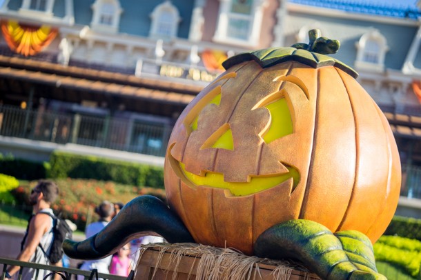 Pumpkins everywhere.