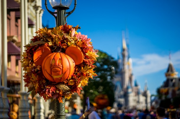 The famous Mickey pumpkins are out on Main Street once again.