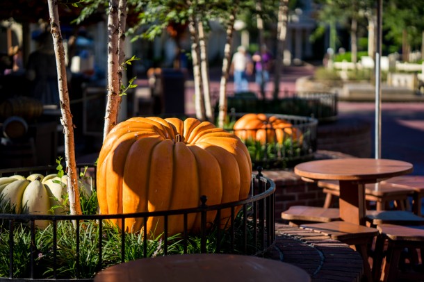 Fall decor in Liberty Square.