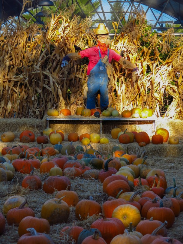 HolloweenKidsMiceChat-8087