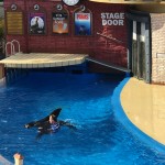 IMG_0024