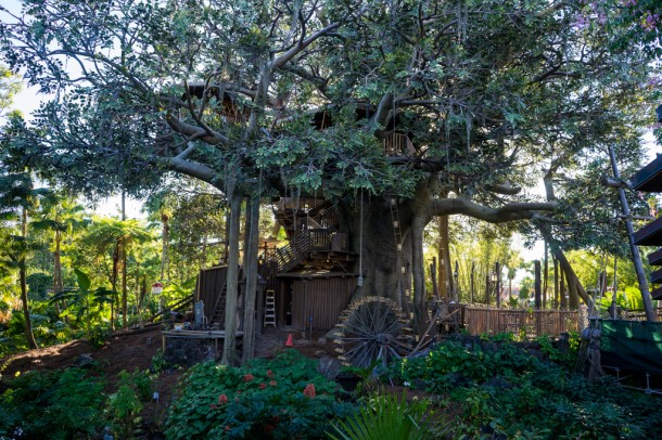 Swiss Family Treehouse is still under refurbishment.