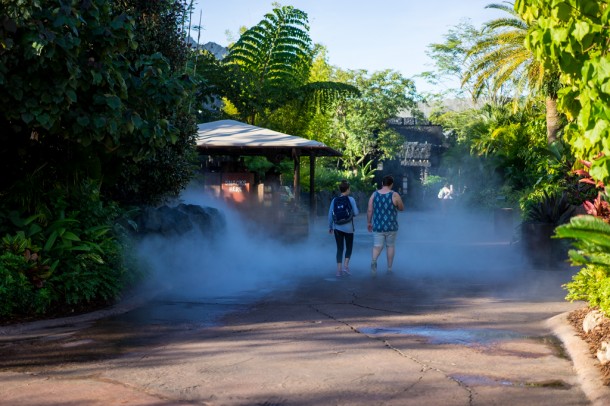 Fog outside of Kong was pumping!