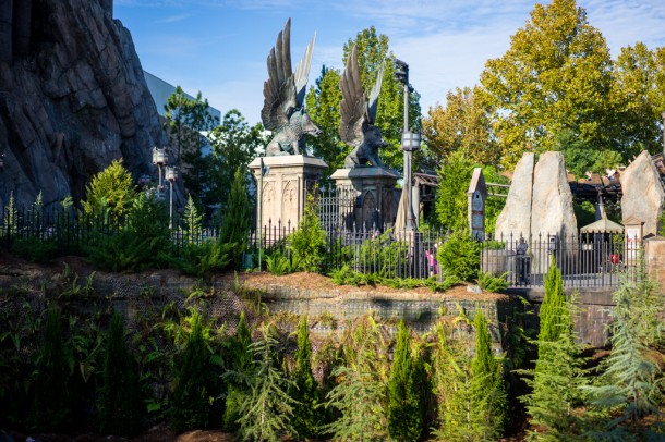 All the tall trees in from of Hogwarts were removed and replaced with the same type of trees, just very small ones.
