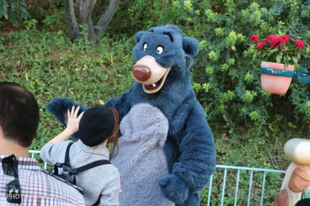IMG_133