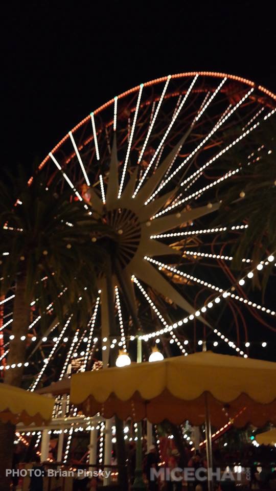Photo_4735377442862424996