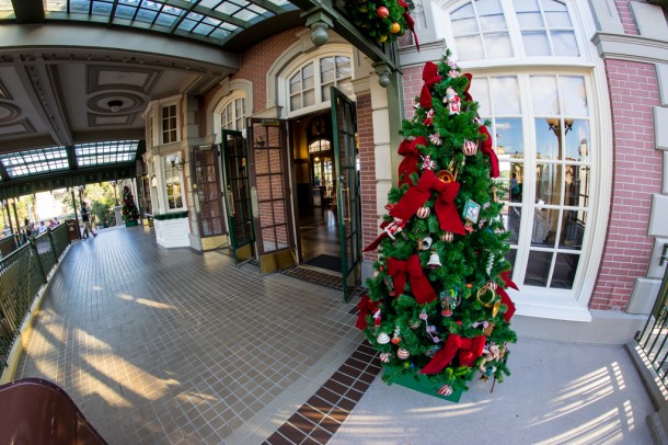 Trees up on the top platform of the Train Station.