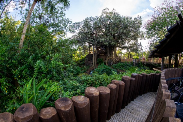 Swiss Family Treehouse is back open after a pretty lengthy refurbishment.