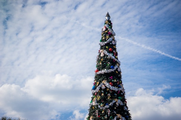 The Christmas tree is outside the Studios.