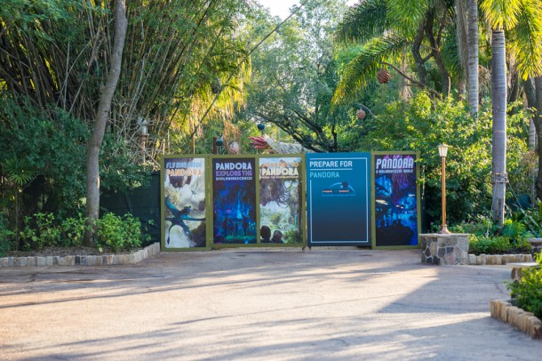 Some more views of Pandora.