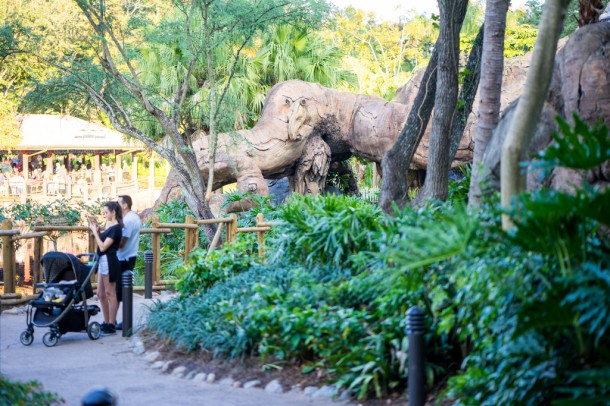 The pathway behind the Tree of Life is open once again, and is a great alternative to the pathway between Africa and Asia.