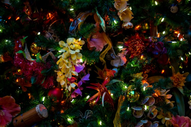 Tree details.