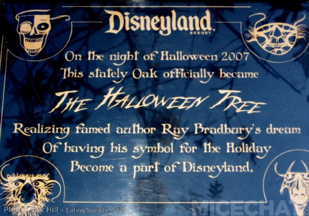 The plaque that commemorates the dedication of the tree.