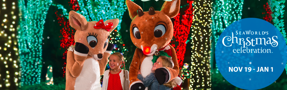 SeaWorld San Diego – A Look at the Christmas Celebration!