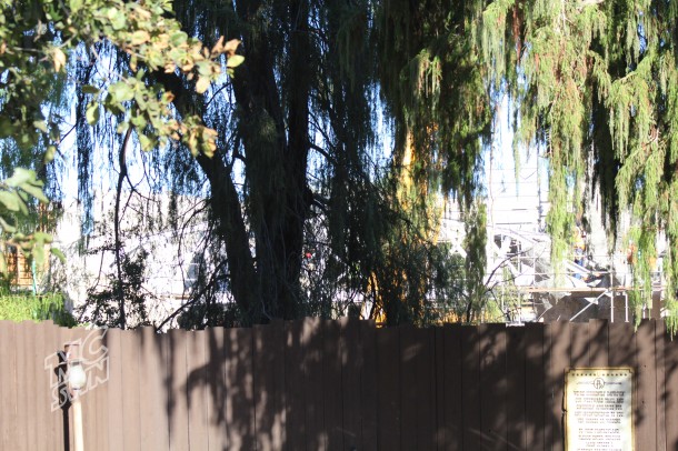 SWL-Nov 25 SE 7