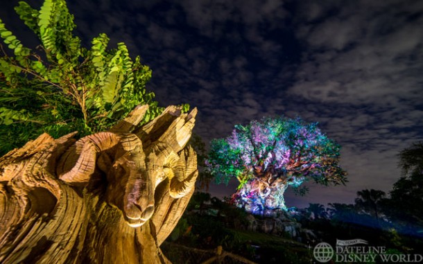 Animal Kingdom also extended its hours, and provides a jaw dropping nighttime atmosphere.