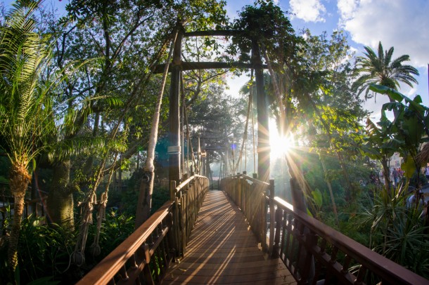 Swiss Family Treehouse reopened after a long refurbishment in tip-top shape.