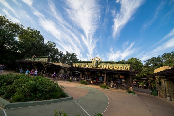 Welcome to Animal Kingdom!