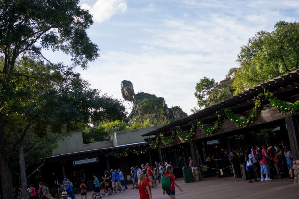 Not too much has changed at Pandora.