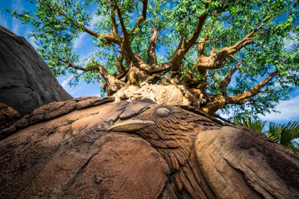 You can get up close and personal with the tree here.
