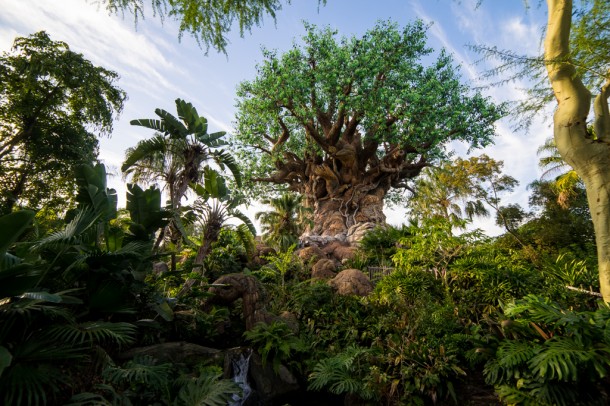 An extremely pleasant surprise. I never thought this was going to open again, but it adds so much to the mood of the park and the sense of exploration. Fantastic.