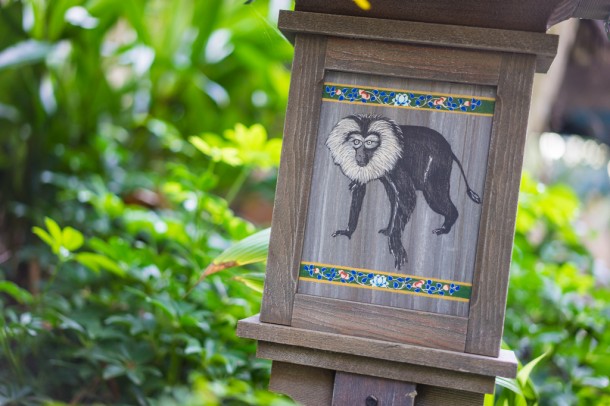 There are some new lion-tailed macaque on the Maharajah Jungle Trek.