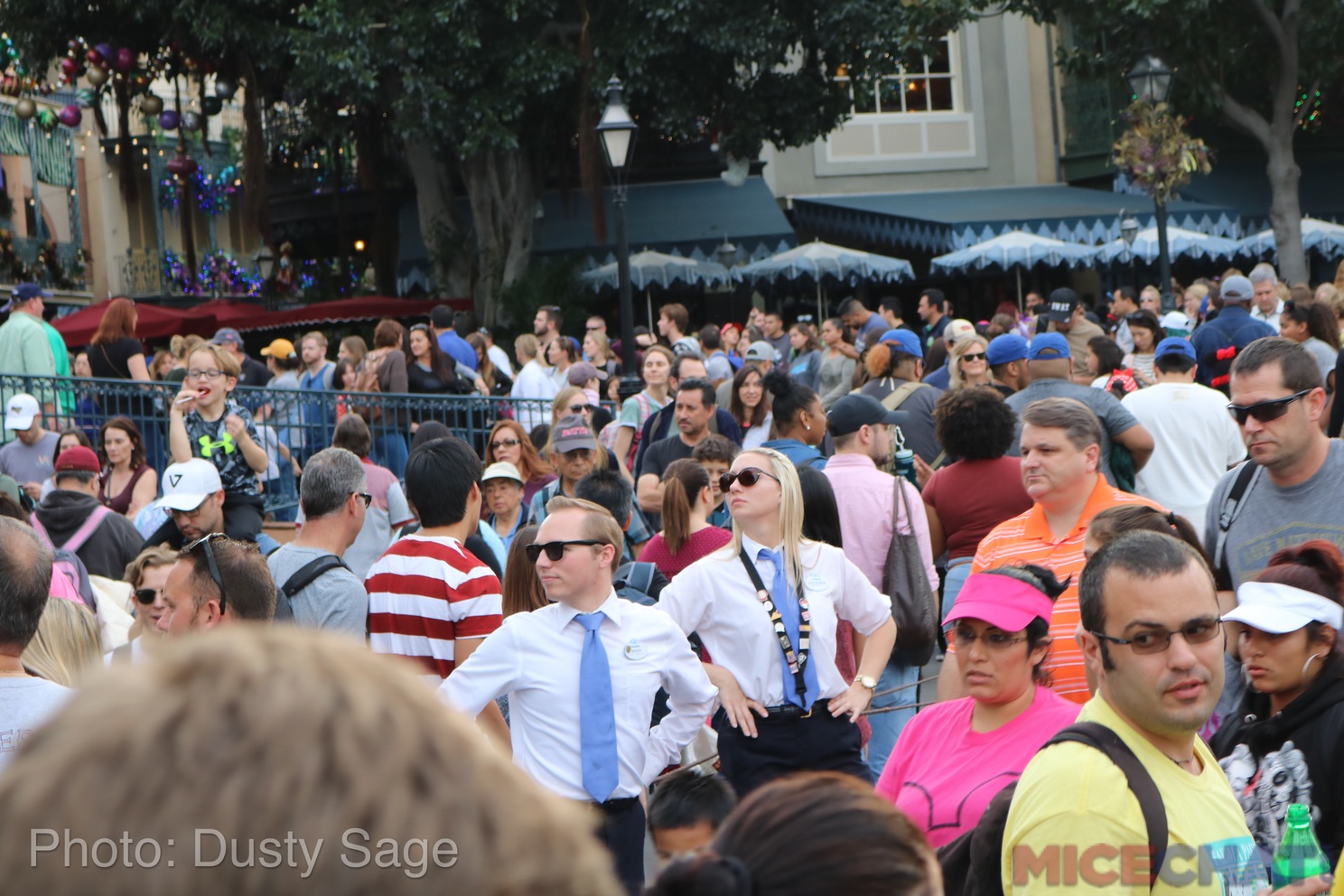 , Disneyland Year In Review 2017 – Part 1 – Dropping Out and Dropping In