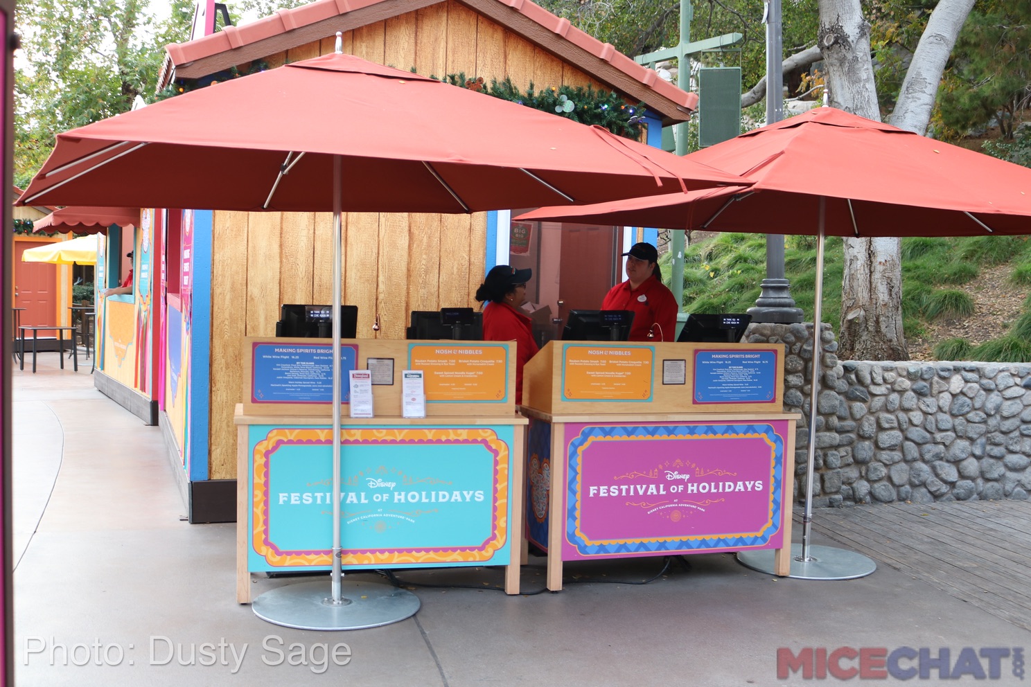 , Disneyland Year In Review 2017 – Part 1 – Dropping Out and Dropping In