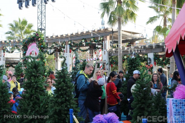 Photo_6987