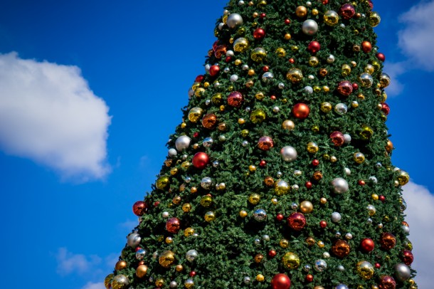 The main Christmas tree is one of the only holiday decorations still up in the park.