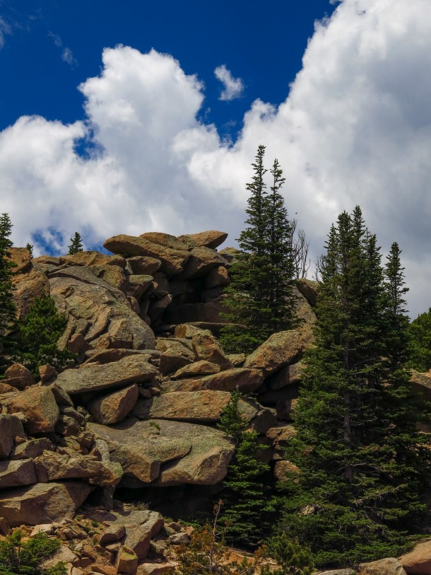 RMNP-3682
