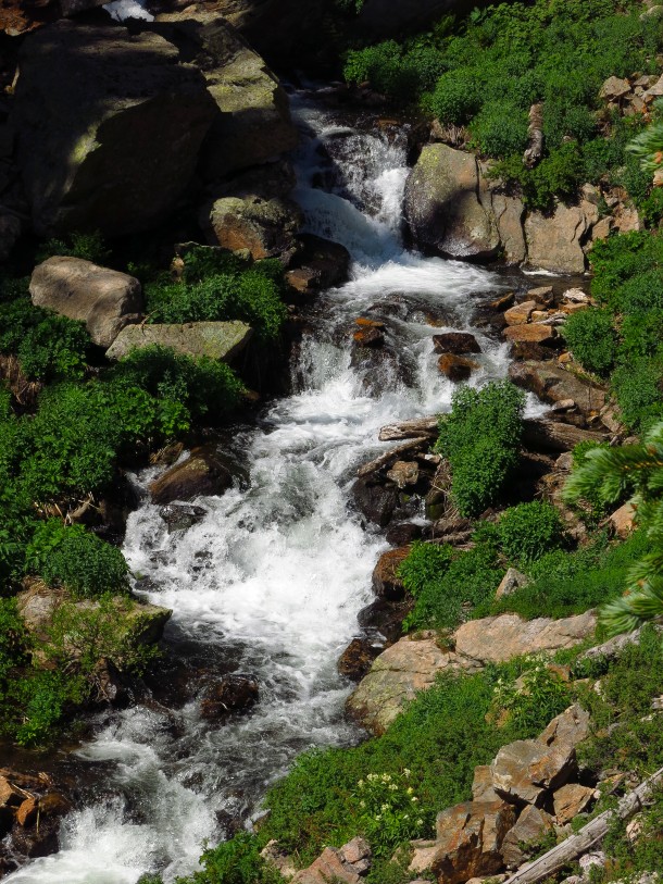 RMNP-4285