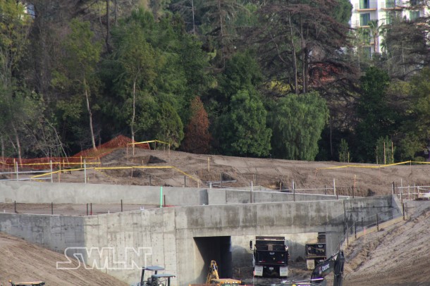 Are those holes to replant the trees removed last year?
