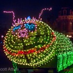 Scott-MSEP-Bug2