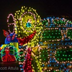 Scott-MSEP-Turtle