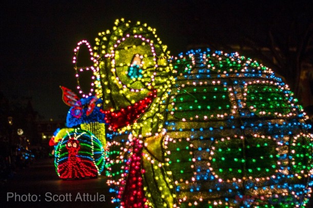 Scott-MSEP-Turtle