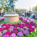 Scott-Walt