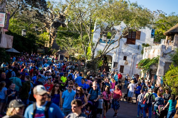 President's Day weekend brought big crowds to the park.