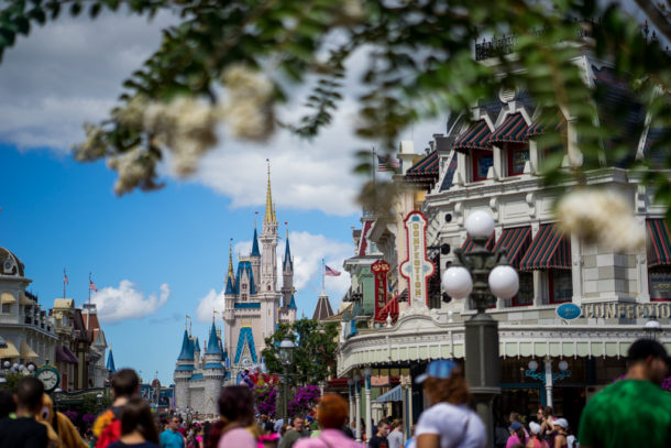 , Star Wars Land Aerial Shots, Epcot Flower and Garden & Magic Kingdom Updates