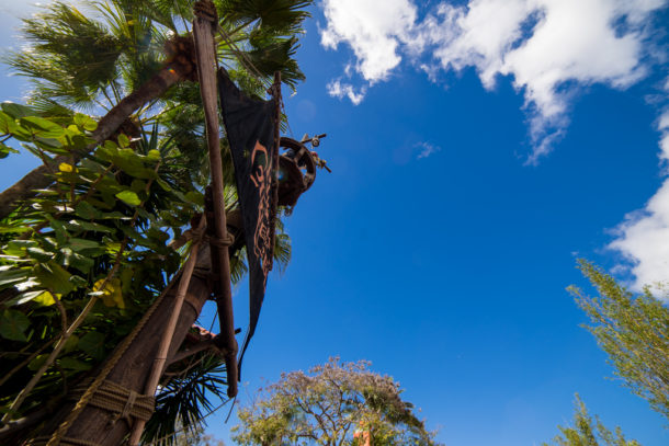 , Star Wars Land Aerial Shots, Epcot Flower and Garden & Magic Kingdom Updates