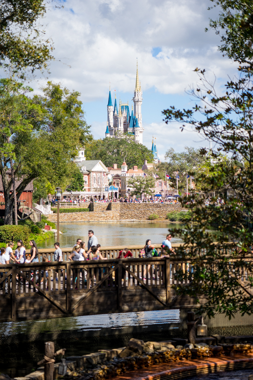 , Star Wars Land Aerial Shots, Epcot Flower and Garden & Magic Kingdom Updates