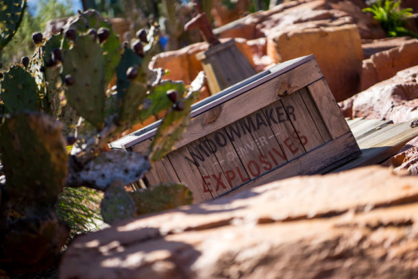 , Star Wars Land Aerial Shots, Epcot Flower and Garden & Magic Kingdom Updates