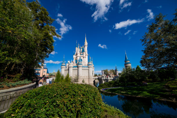 , Star Wars Land Aerial Shots, Epcot Flower and Garden & Magic Kingdom Updates