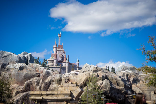 , Star Wars Land Aerial Shots, Epcot Flower and Garden & Magic Kingdom Updates