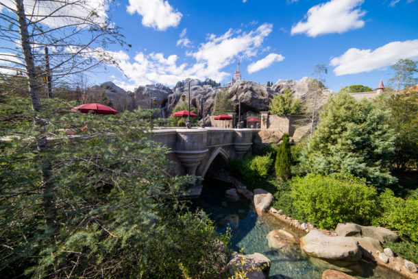 , Star Wars Land Aerial Shots, Epcot Flower and Garden & Magic Kingdom Updates