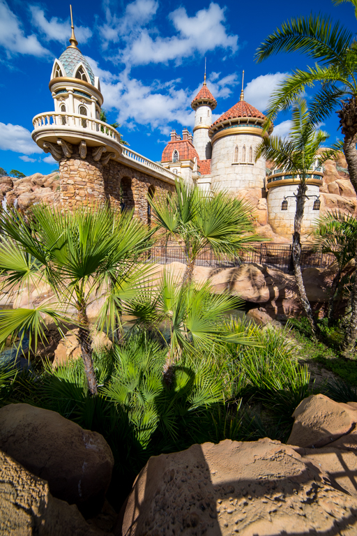 , Star Wars Land Aerial Shots, Epcot Flower and Garden & Magic Kingdom Updates